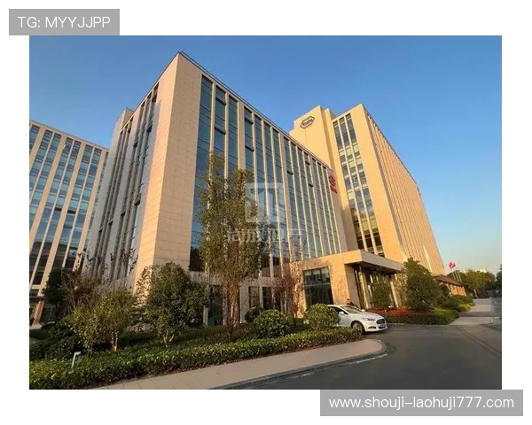 宝昂电子(上海)有限公司在游戏行业中的品牌建设与未来发展规划详解