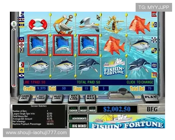 老虎机专卖网站不断更新产品线，提供最新技术和设计的老虎机设备，满足市场的多样化需求